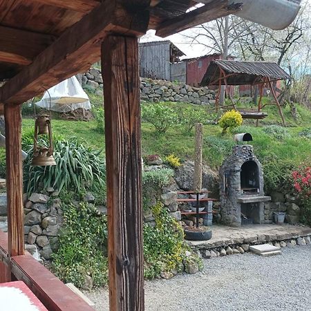 Meselak Vila Ocna de Sus Exterior foto
