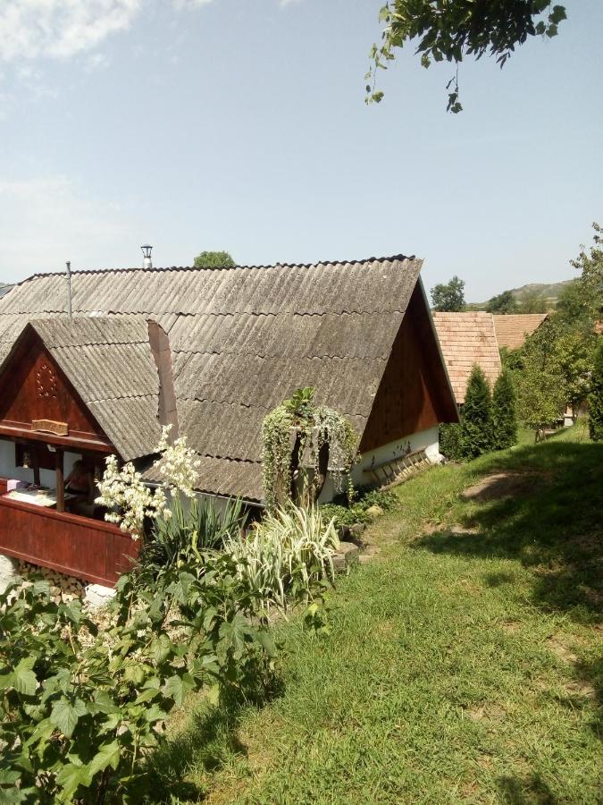 Meselak Vila Ocna de Sus Exterior foto