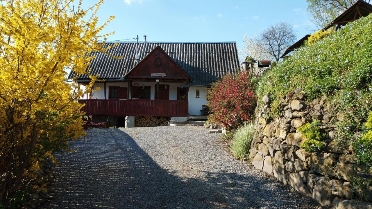 Meselak Vila Ocna de Sus Exterior foto